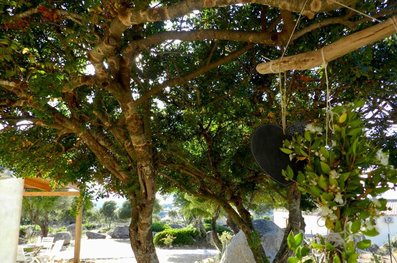 Rudalza B&B Su Donnigheddu المظهر الخارجي الصورة